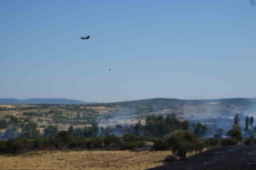 Balıkesir Pamukçu’da arazi yangınına müdahale ediliyor