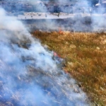 Küçükçekmece’de geniş otluk alanda çıkan yangın paniğe neden oldu