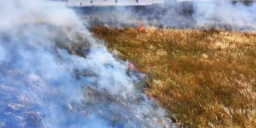 Küçükçekmece’de geniş otluk alanda çıkan yangın paniğe neden oldu