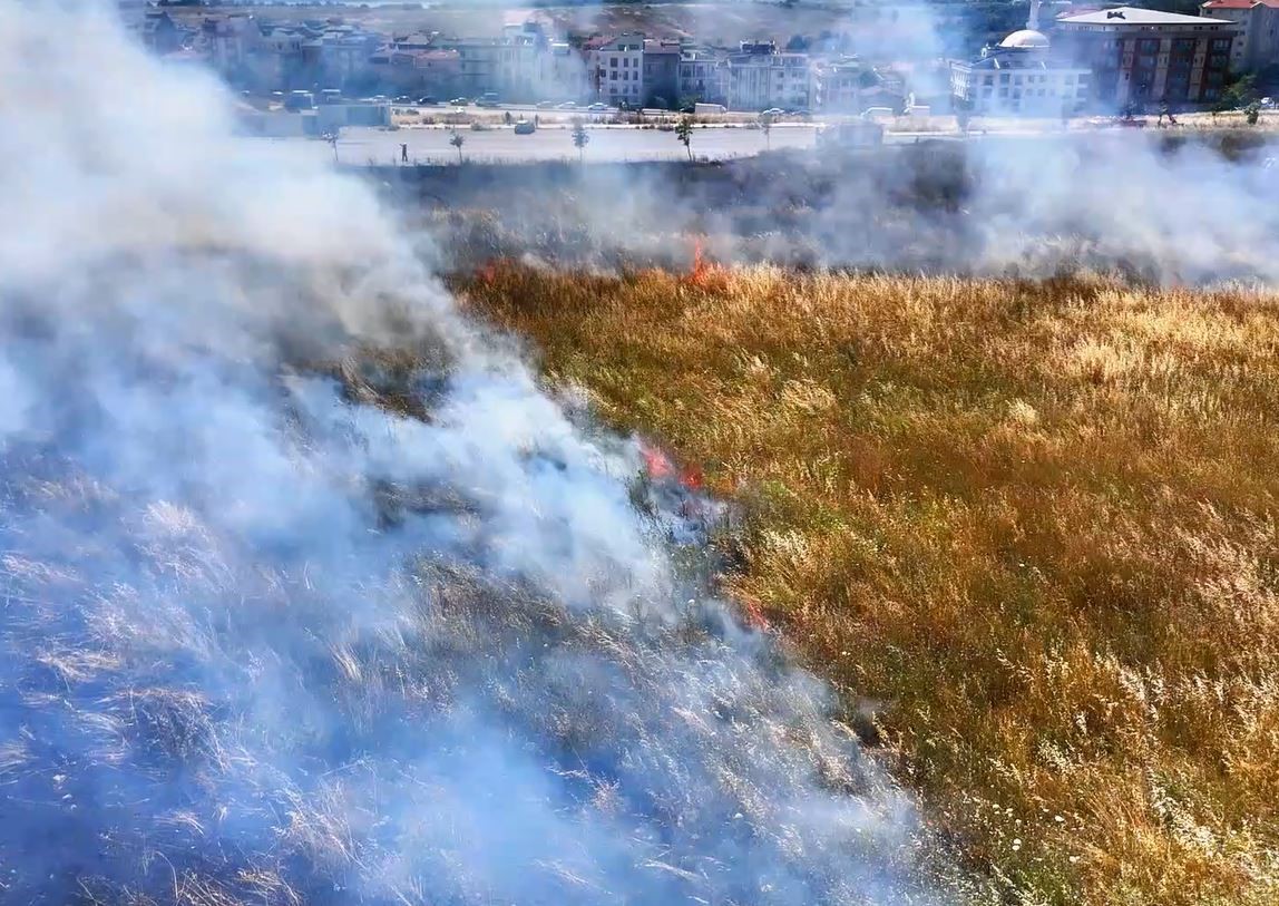 Küçükçekmece’de geniş otluk alanda çıkan yangın paniğe neden oldu