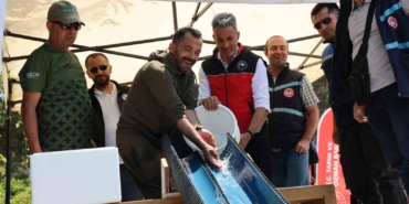 Pelitözü Göleti’ne anaç sazan balığı salındı