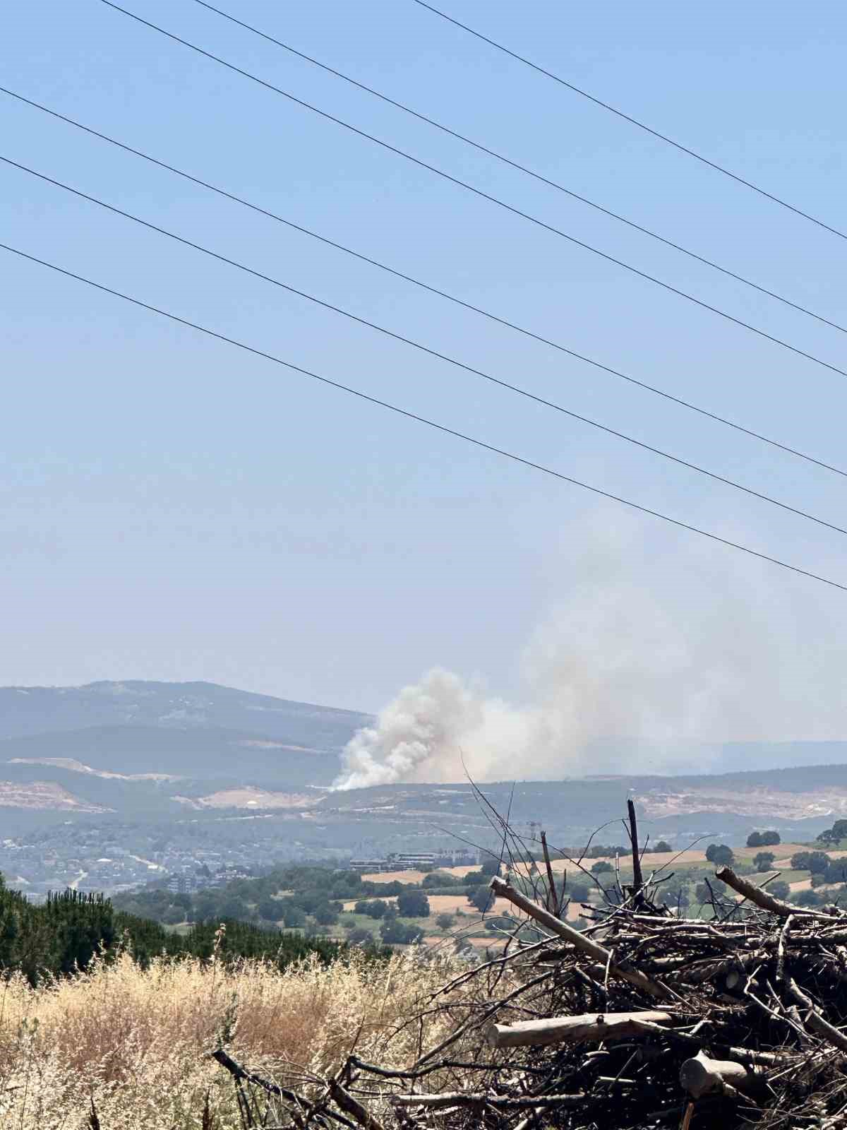 Bursa’da Kayapa bölgesinde orman yangını
