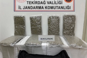 Tekirdağ’da otoyol gişelerinde 12 kilogram skunk ele geçirilmesine ilişkin 1 kişi tutuklandı