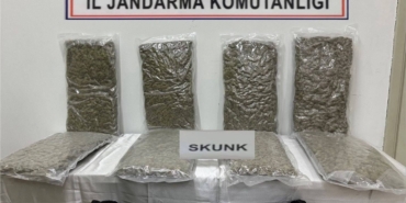 Tekirdağ’da otoyol gişelerinde 12 kilogram skunk ele geçirilmesine ilişkin 1 kişi tutuklandı