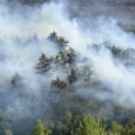 Sakarya’da ormanda yeniden yükselen alevlere havadan ve karadan müdahale edildi