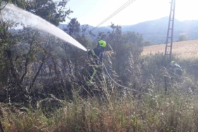 Balıkesir İtfaiyesi 9 günde 730 yangına müdahale etti