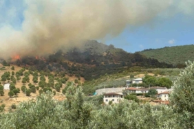 Bursa İznik’te büyük orman yangını