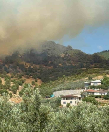 Bursa İznik’te büyük orman yangını