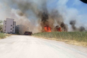 Edremit’te sazlık alanda yangın