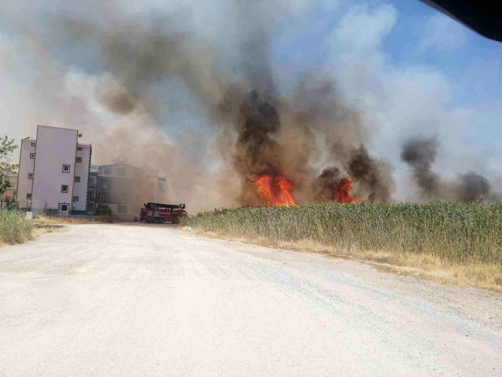 Edremit’te sazlık alanda yangın