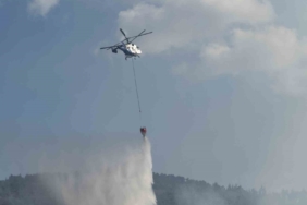 Taraklı’daki orman yangınına ilişkin gözaltına alınanlar serbest bırakıldı