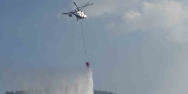 Taraklı’daki orman yangınına ilişkin gözaltına alınanlar serbest bırakıldı