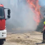 40 dereceyi aşan sıcaklık ve rüzgarın etkisiyle yangın kısa sürede büyüdü