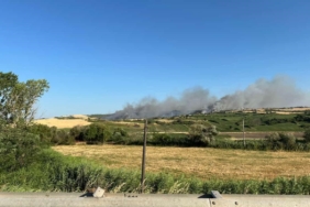 Susurluk’ta arazi yangını: Söndürme çalışmaları sürüyor