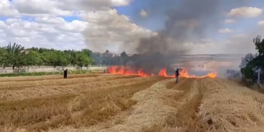 Silivri Çeltik Mahallesi’ndeki tarla yangını evlere ulaşmadan kontrol altına alındı