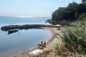 Burhaniye’de Pelitköy İçmeler Sahili sakinleri kıyı işgaline tepkili