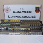 Yalova’da kaçak sigara operasyonunda 1 gözaltı