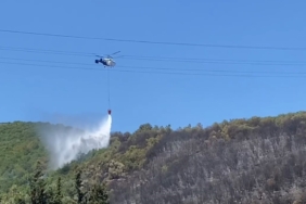 Kocaeli’de ağaçlık alanda çıkan yangın kontrol altına alındı
