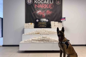 Cipte zulalanmış 82 kilo uyuşturucu ele geçirildi: 1 şüpheli tutuklandı