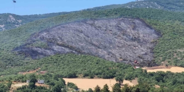 Yenişehir ilçesindeki yangın söndürüldü
