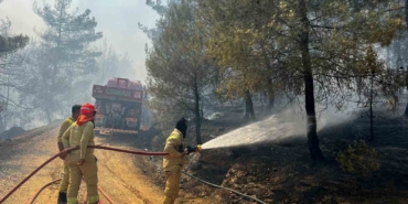 Sakarya’da başlayan orman yangını Osmaneli’ne de sıçradı