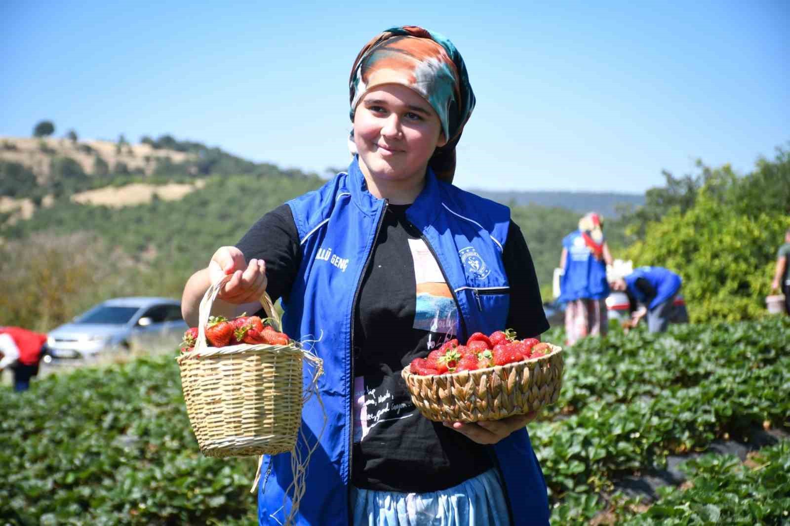 Balıkesirli gençlerden ’Gönüllü Hasat’ etkinliği