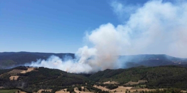 Sakarya’daki orman yangını havadan görüntülendi