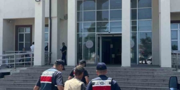Çanakkale’de arazide 77 kök kenevir ele geçirildi: 1 tutuklama