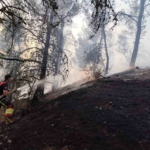 Dursunbey’de orman yangını