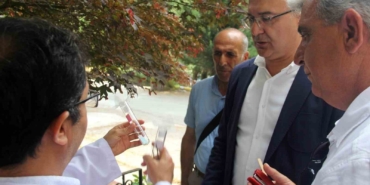 Yalova’da kahverengi kokarcaya karşı samuray arılar doğaya salındı