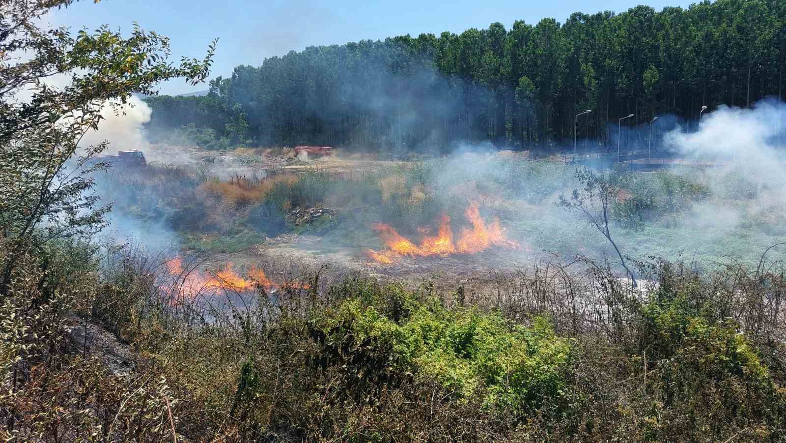 Sakarya’da ormanlık alanda yangın: Ekipler seferber oldu
