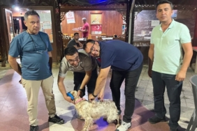 Toplu kuduz aşısı uygulaması avcılar kulübünde gerçekleştirildi