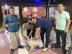 Toplu kuduz aşısı uygulaması avcılar kulübünde gerçekleştirildi