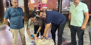 Toplu kuduz aşısı uygulaması avcılar kulübünde gerçekleştirildi