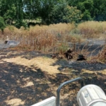 Gönen’de aynı gün iki ayrı yangın: İtfaiye ekipleri alevleri kontrol altına aldı