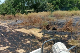 Gönen’de aynı gün iki ayrı yangın: İtfaiye ekipleri alevleri kontrol altına aldı