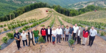 Yalova’da mavi yemiş hasadı