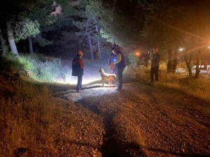 Pendik’te ormana girdikten sonra haber alınamayan şahıs için arama çalışmaları başlatıldı