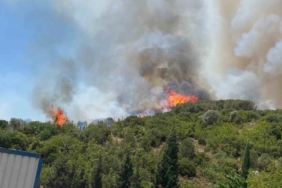 Kocaeli’de ağaçlık alanda çıkan yangına müdahale ediliyor