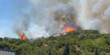 Kocaeli’de ağaçlık alanda çıkan yangına müdahale ediliyor