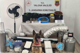 Yalova’da evini uyuşturucu serasına çeviren zanlı yakalandı