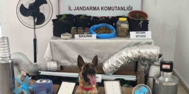 Yalova’da evini uyuşturucu serasına çeviren zanlı yakalandı