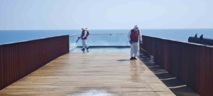 Arnavutköy’de park ve bahçeler belediye ekiplerince ilaçlanıyor