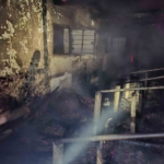 Bayram öncesi felaket: Ahırda çıkan yangın, satışı yapılan 16 büyükbaşı telef etti