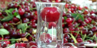 Çay bardağına sığmayan Lapseki kirazında hasat başladı