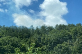 Gölpazarı’nda yangın bölgesinde alevler yeniden yükseldi, ekipler harekete geçti