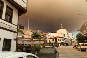 Sakarya’daki orman yangını nedeniyle Bilecik’te 1 köy boşaltılıyor