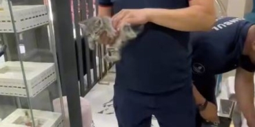 Alçıpan arasında mahsur kalan yavru kedileri itfaiye kurtardı