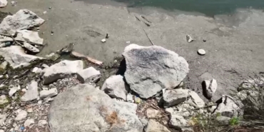 Bakırköy Botanik Parkı 14 aydır kapalı: "Bir çevre katliamıyla karşı karşıyayız"