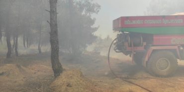 Bilecik’te buğday tarlasında çıkan yangın ormanlık alana sıçradı